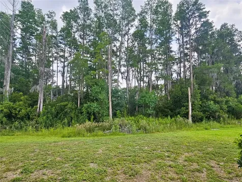 3220 Clover Blossom Circle Land O Lakes FL 34638