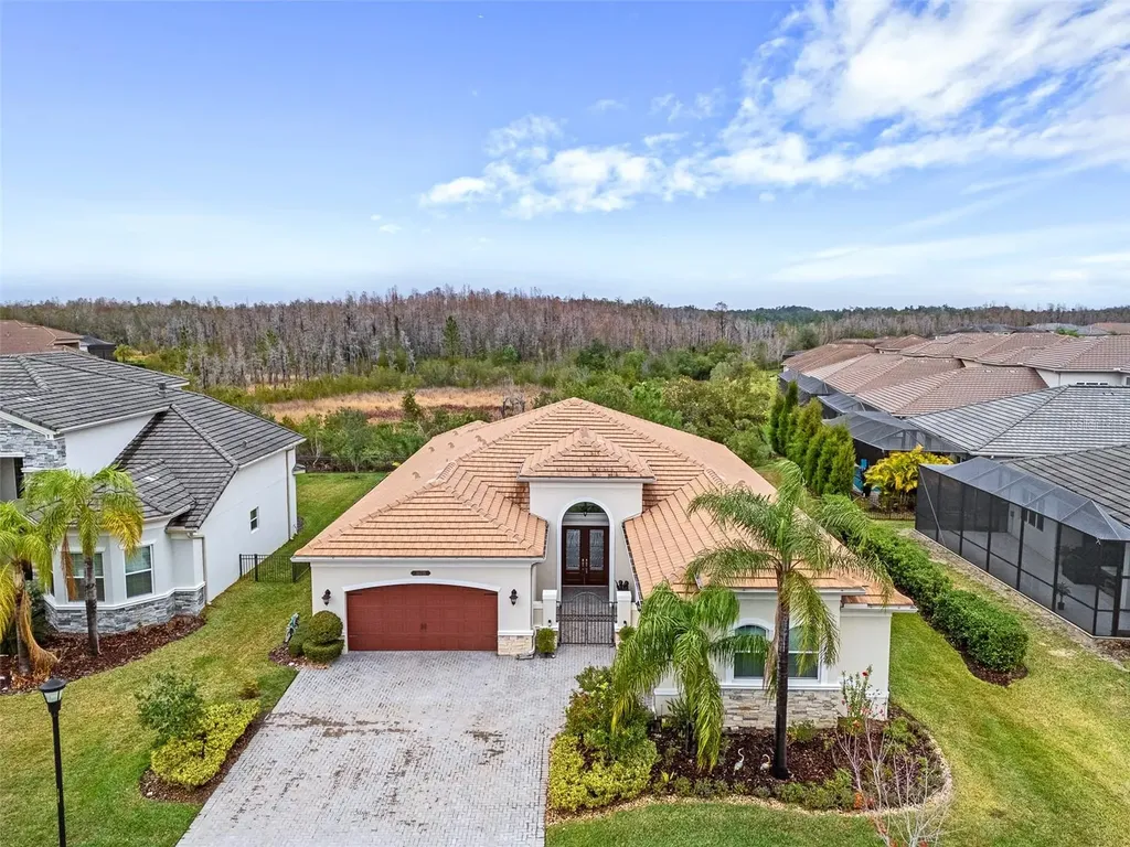 30715 Tumbleberry Street Wesley Chapel FL 33543