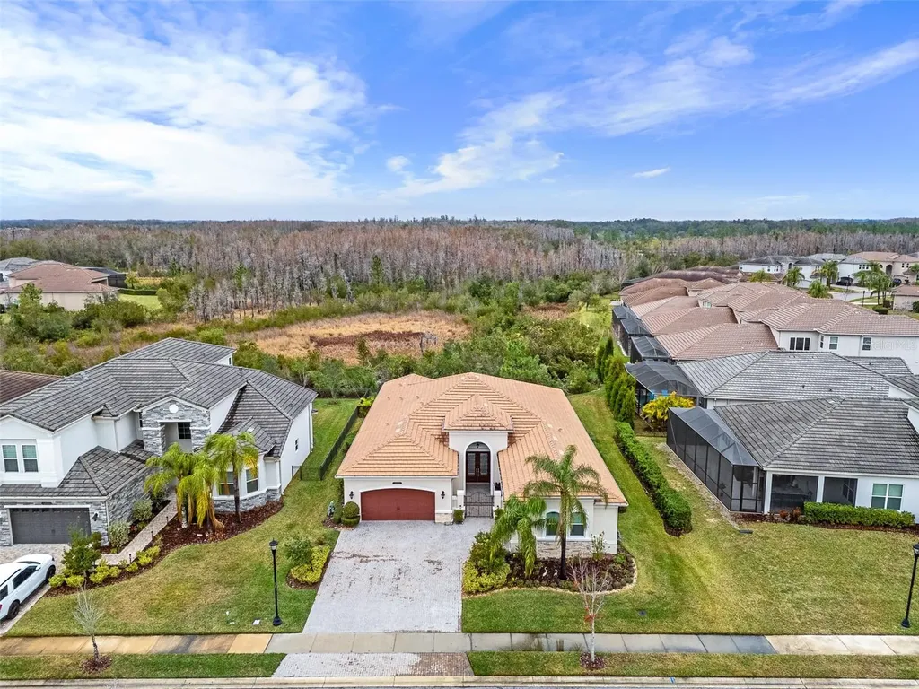 30715 Tumbleberry Street Wesley Chapel FL 33543