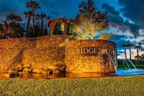 30715 Tumbleberry Street Wesley Chapel FL 33543