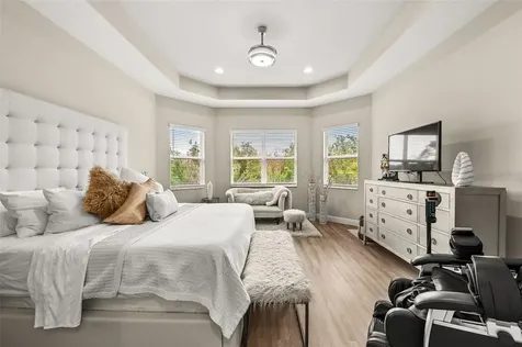 30715 Tumbleberry Street Wesley Chapel FL 33543