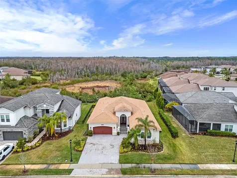30715 Tumbleberry Street Wesley Chapel FL 33543