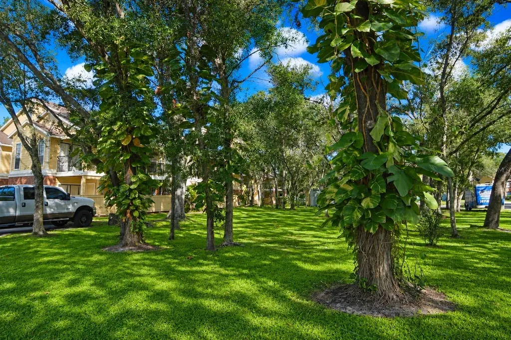8603 Fancy Finch Drive Tampa FL 33614