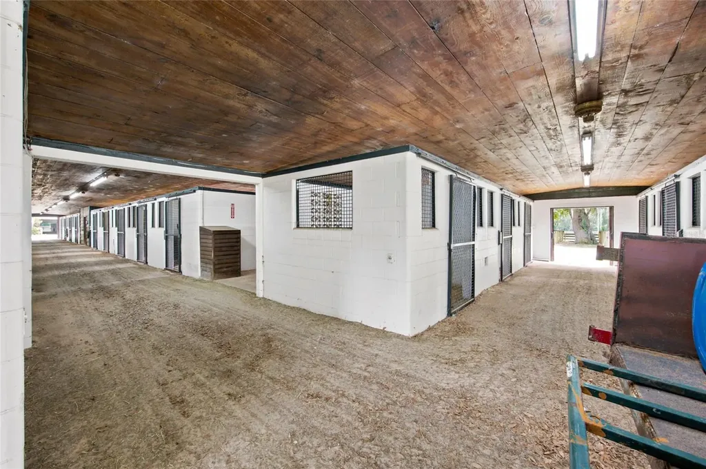 3825 NW 160th Street Reddick FL 32686