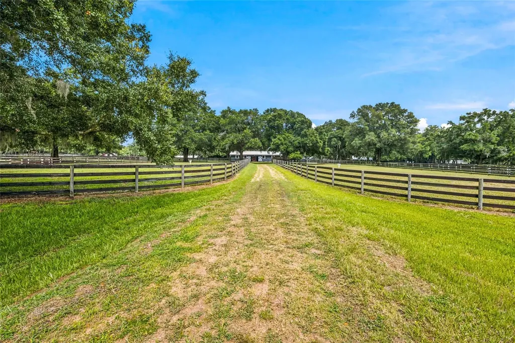 3825 NW 160th Street Reddick FL 32686