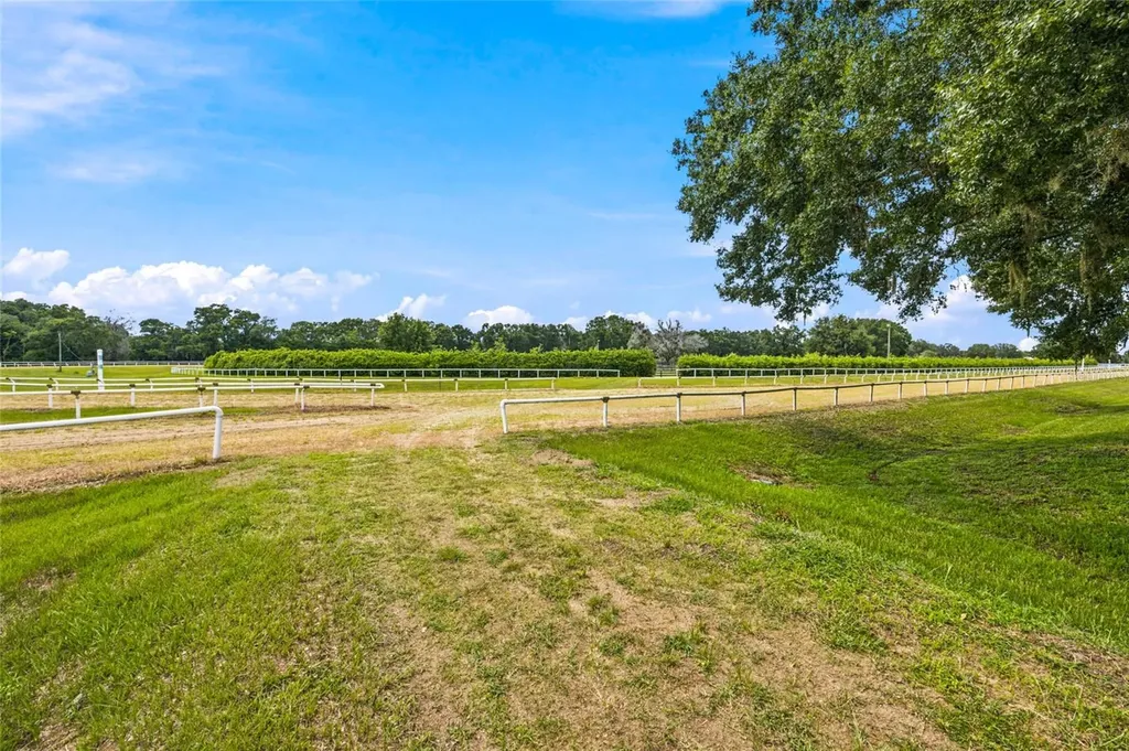 3825 NW 160th Street Reddick FL 32686