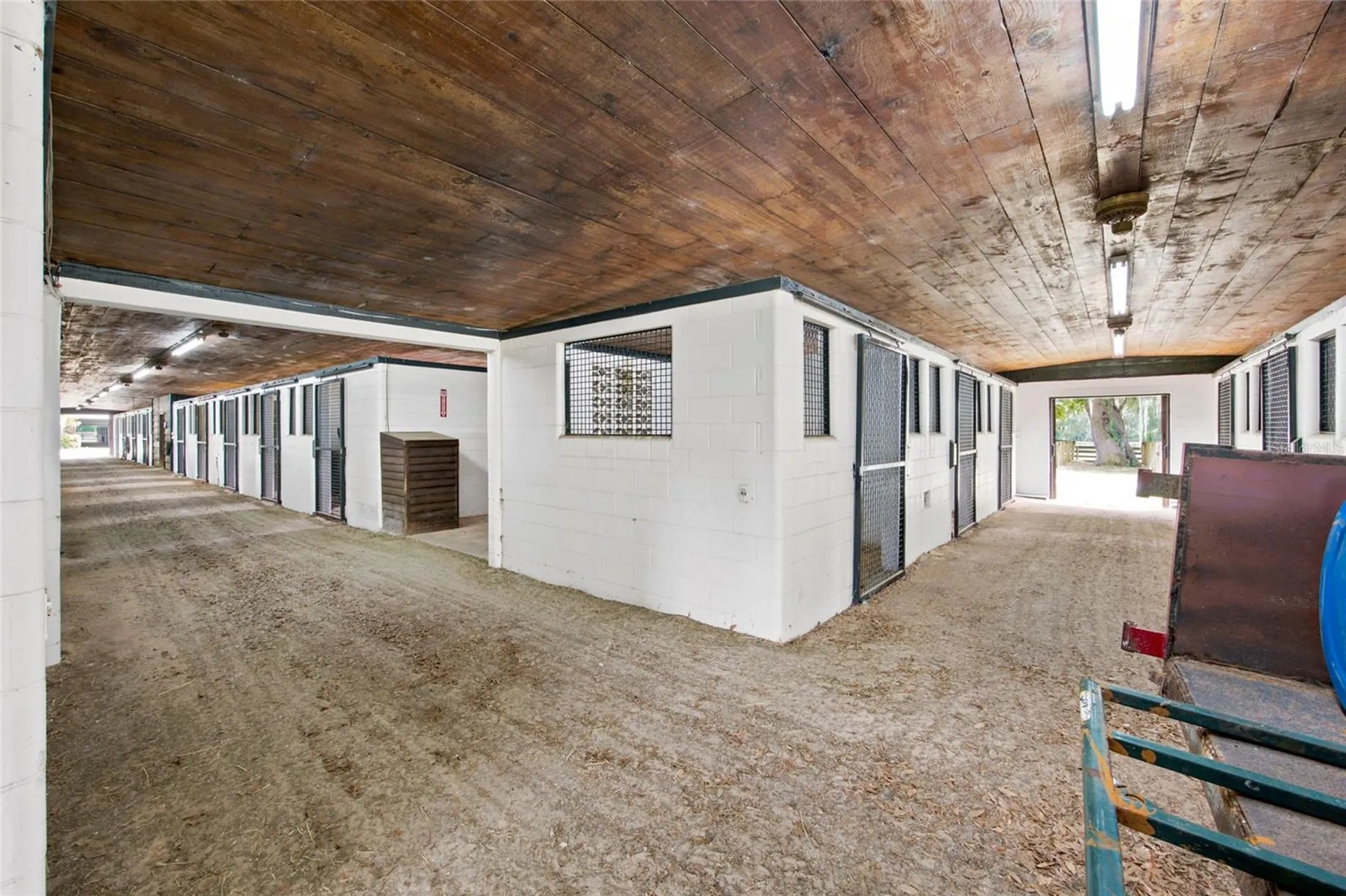 3825 NW 160th Street Reddick FL 32686