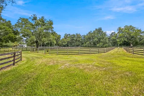 3825 NW 160th Street Reddick FL 32686