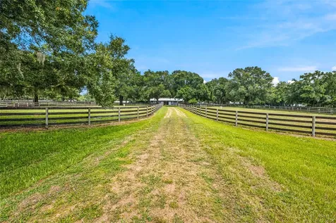 3825 NW 160th Street Reddick FL 32686