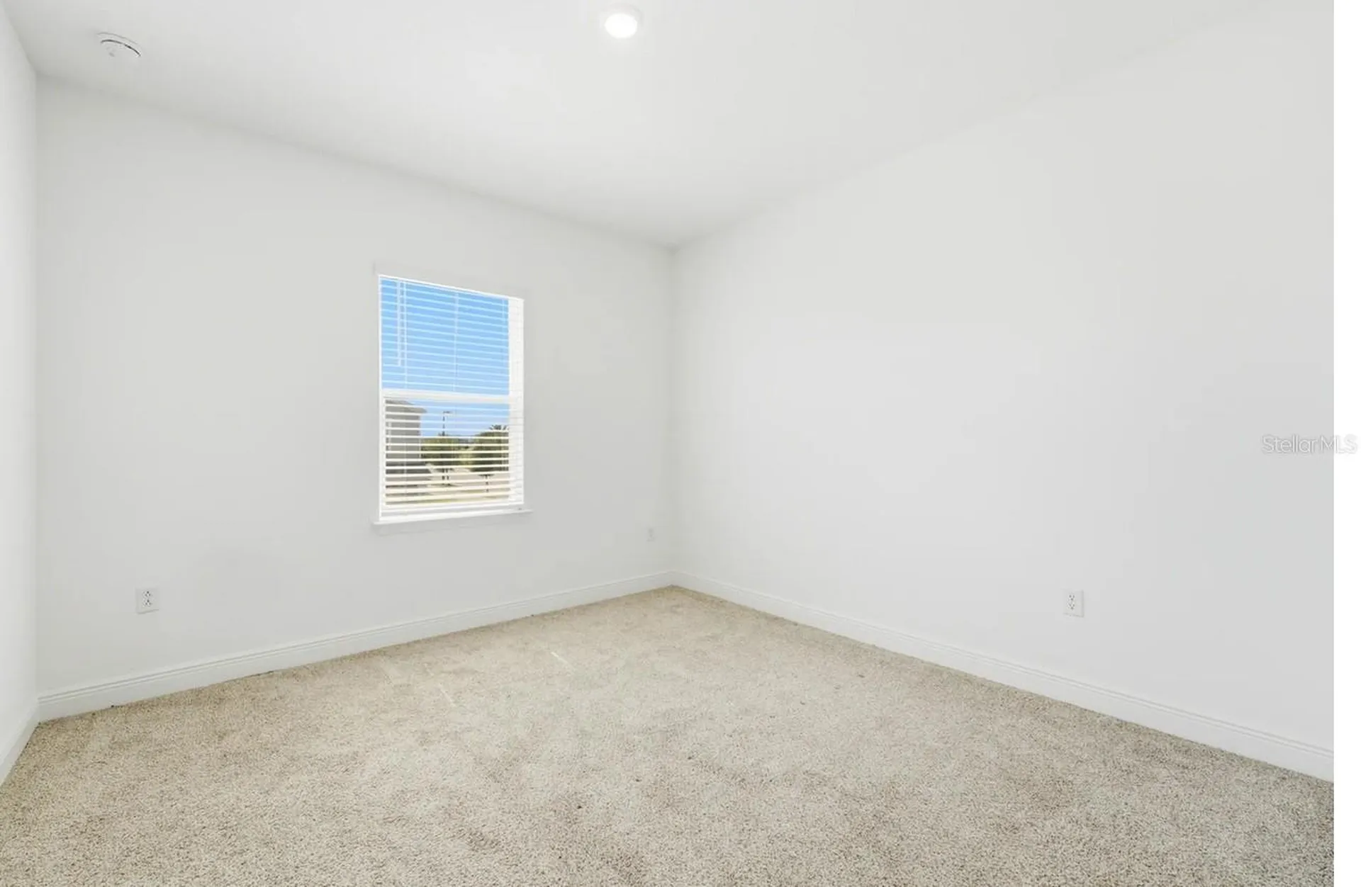 16453 Hamlin View Street Winter Garden FL 34787