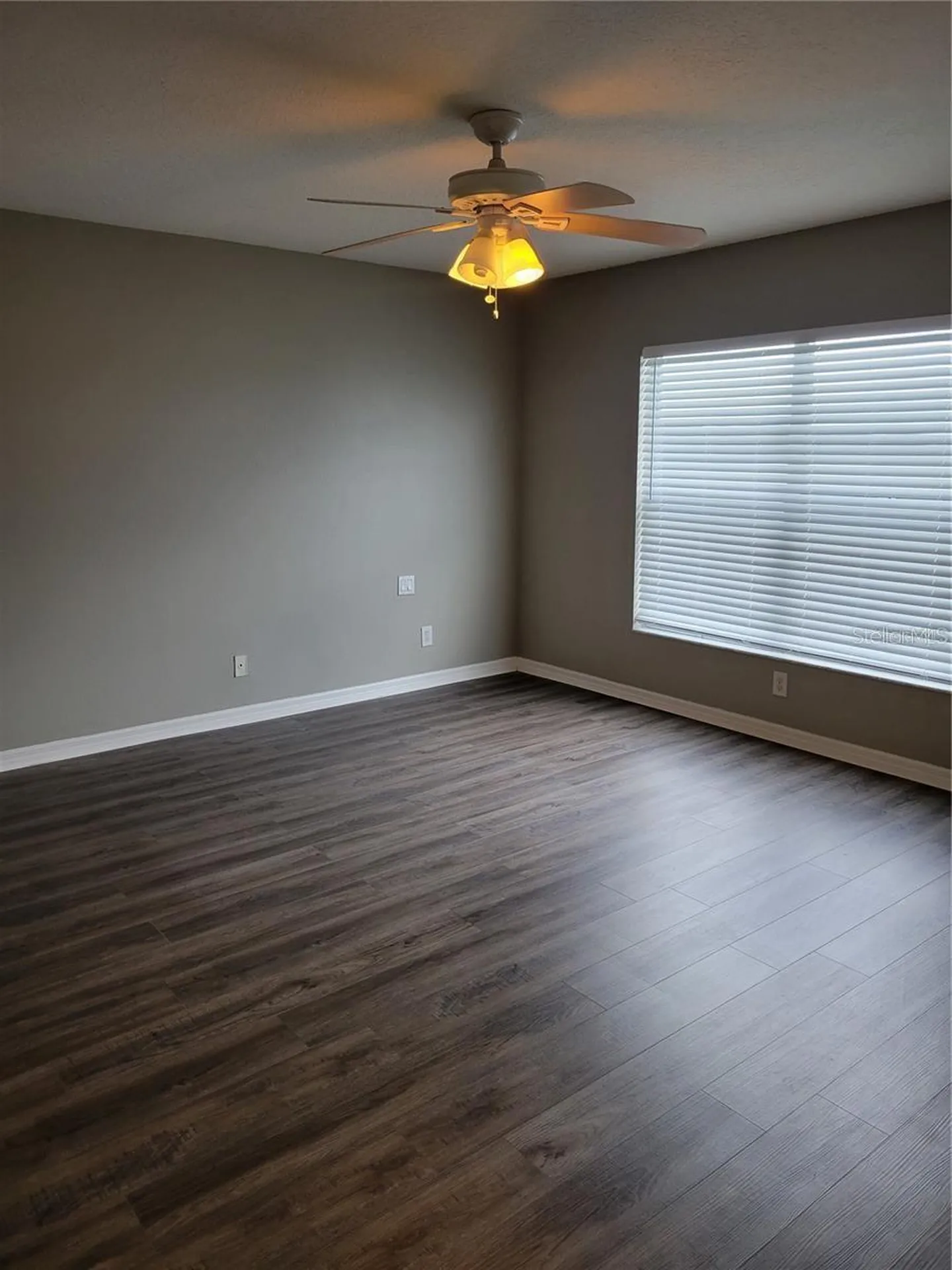 7215 Colonial Lake Drive Riverview FL 33578