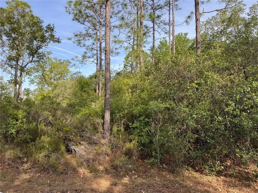 Tbd NE 76th Bronson FL 32621