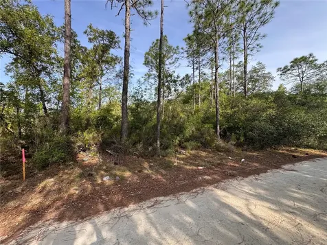 Tbd NE 76th Bronson FL 32621