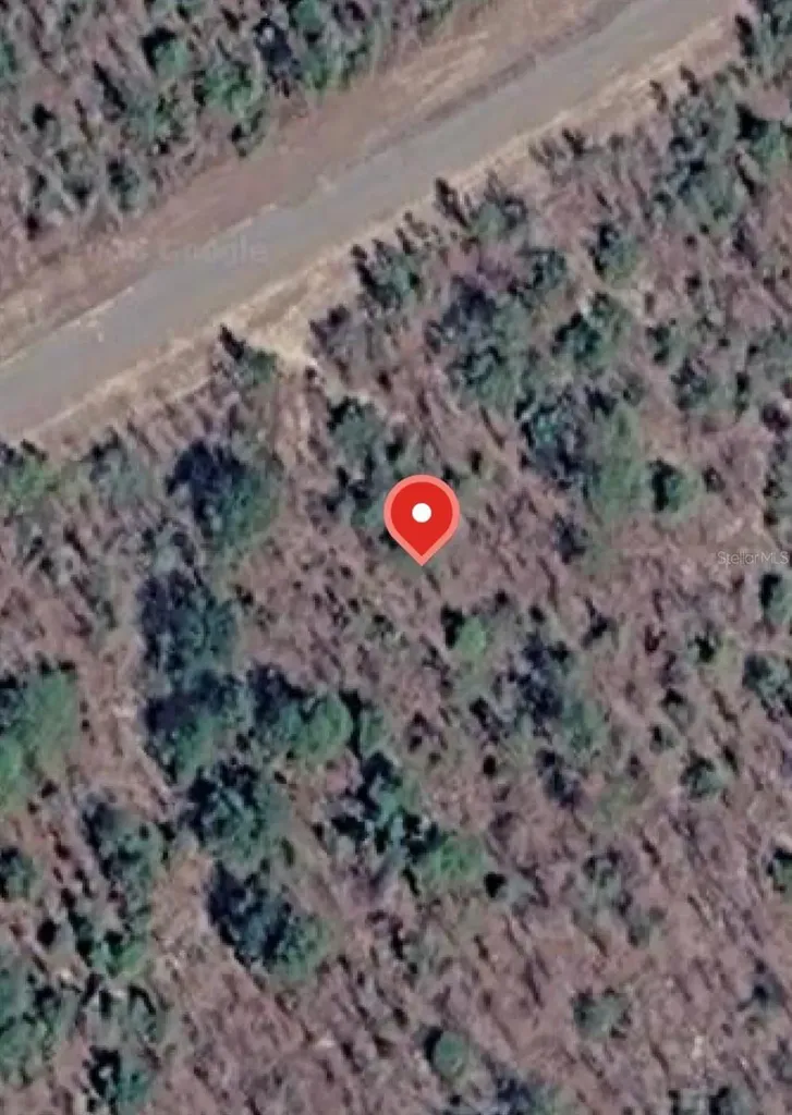 Albion Drive Chipley FL 32428