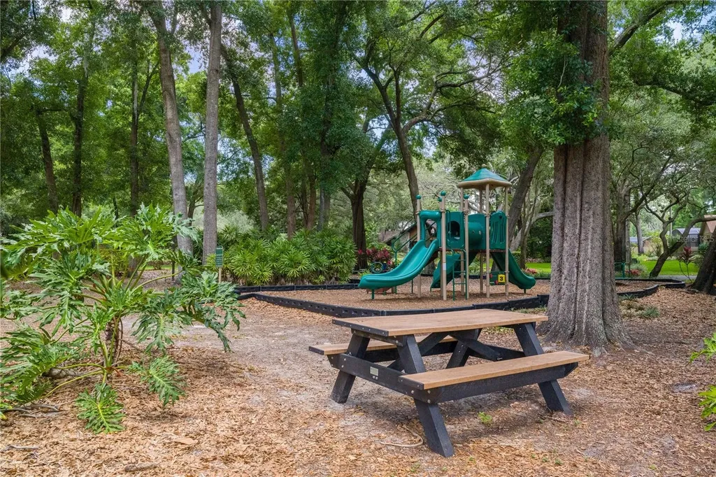 2009 Woody Drive Windermere FL 34786