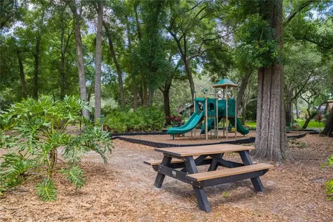2009 Woody Drive Windermere FL 34786