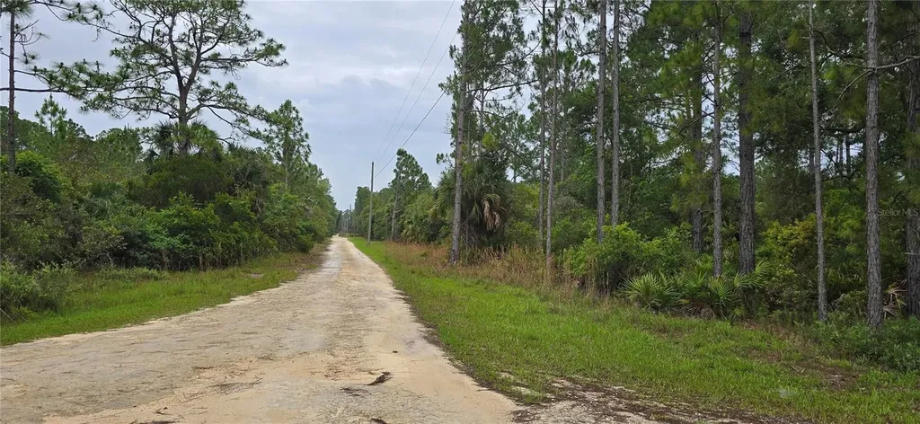 6150 SW 126th Avenue Cedar Key FL 32625