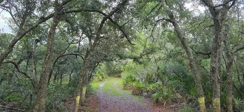 6150 SW 126th Avenue Cedar Key FL 32625