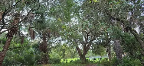 6150 SW 126th Avenue Cedar Key FL 32625
