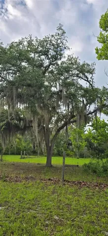 6150 SW 126th Avenue Cedar Key FL 32625