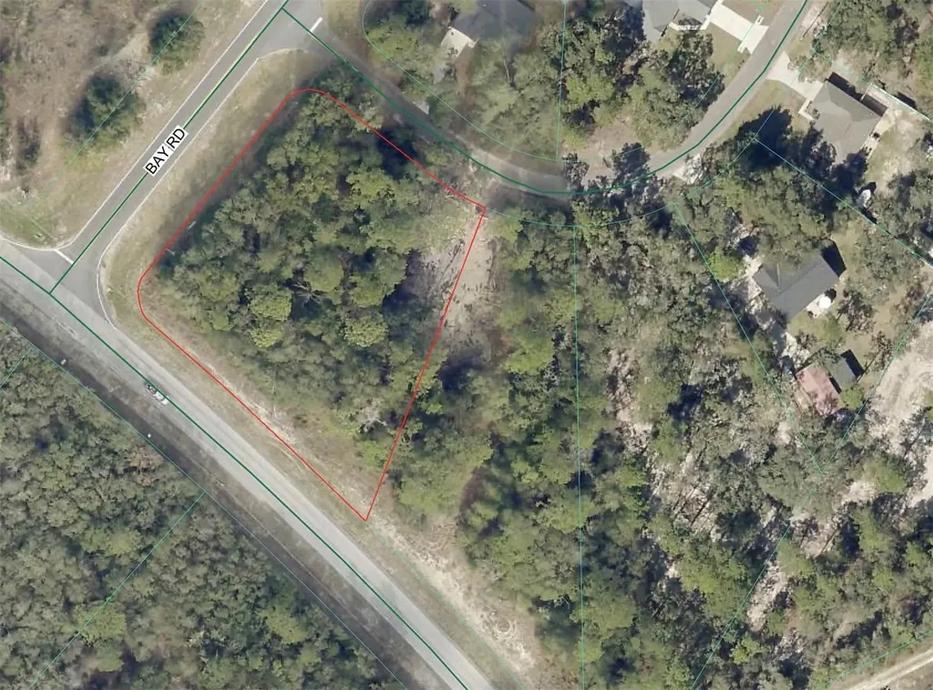 3 Bay Drive Ocklawaha FL 32179