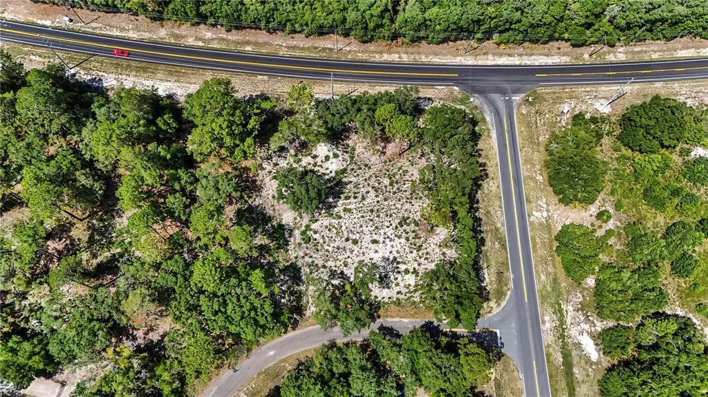 3 Bay Drive Ocklawaha FL 32179