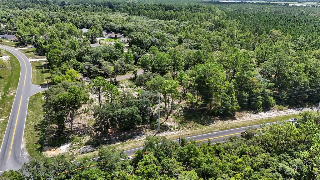 3 Bay Drive Ocklawaha FL 32179