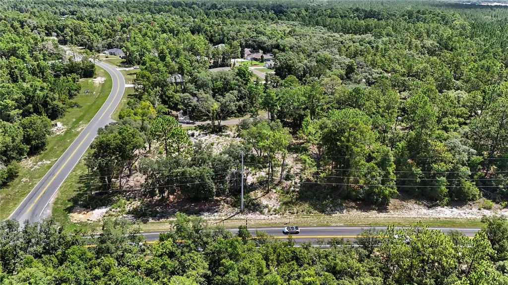 3 Bay Drive Ocklawaha FL 32179