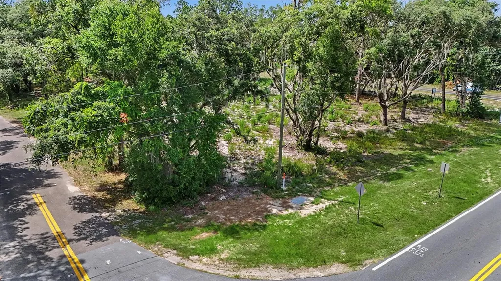 3 Bay Drive Ocklawaha FL 32179