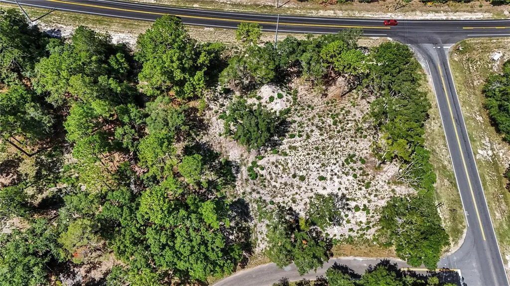 3 Bay Drive Ocklawaha FL 32179