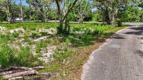 3 Bay Drive Ocklawaha FL 32179