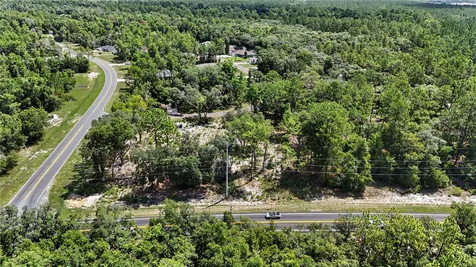 3 Bay Drive Ocklawaha FL 32179