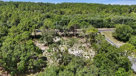 3 Bay Drive Ocklawaha FL 32179