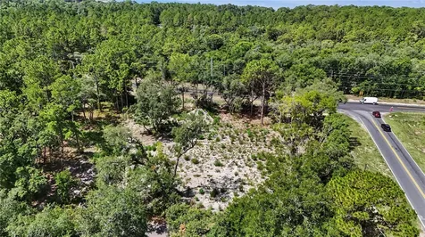 3 Bay Drive Ocklawaha FL 32179