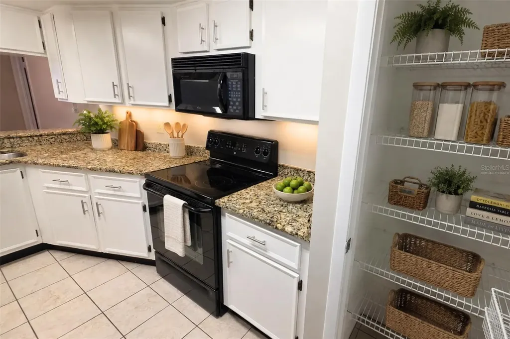 14662 Norwood Oaks Drive Tampa FL 33613
