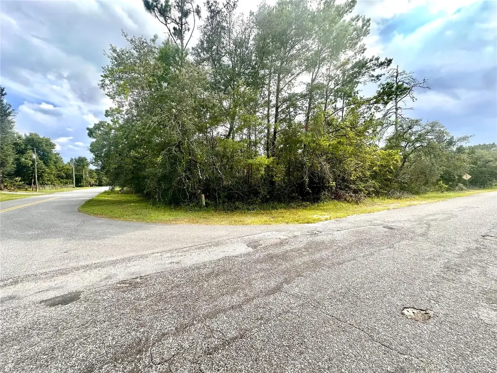Saffron Avenue Eustis FL 32736
