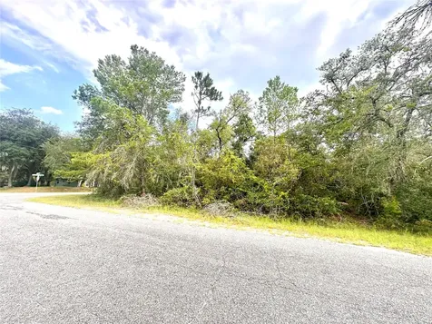 Saffron Avenue Eustis FL 32736