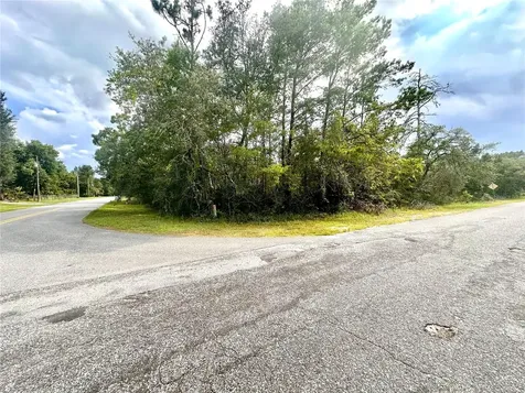 Saffron Avenue Eustis FL 32736
