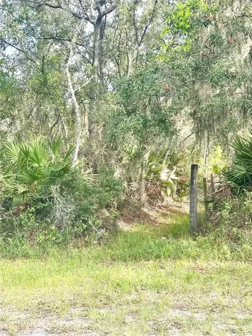 Saffron Avenue Eustis FL 32736