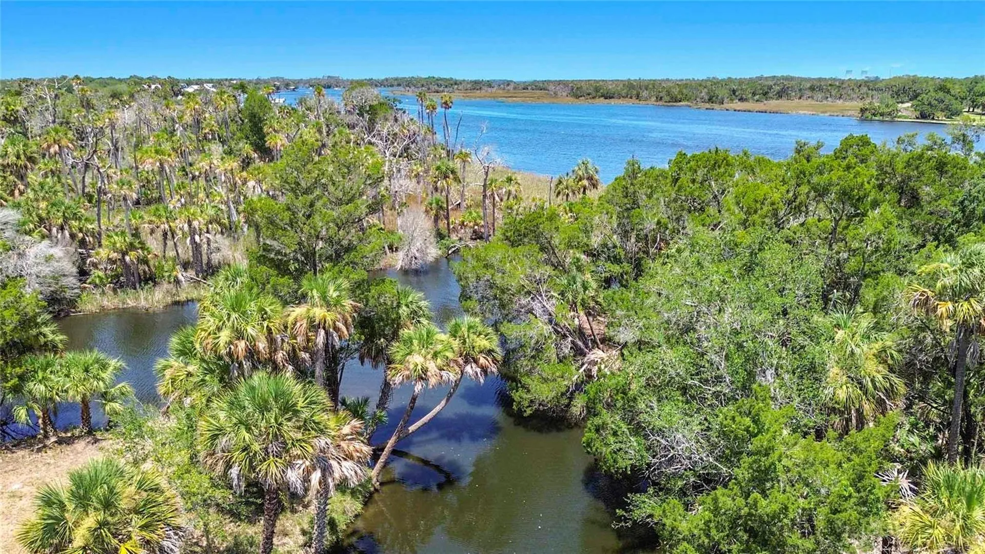 11441 W Brown Pelican Path Crystal River FL 34429