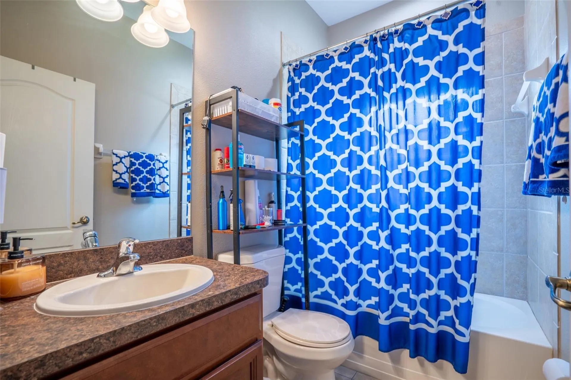 1809 Bonita Bluff Court Ruskin FL 33570