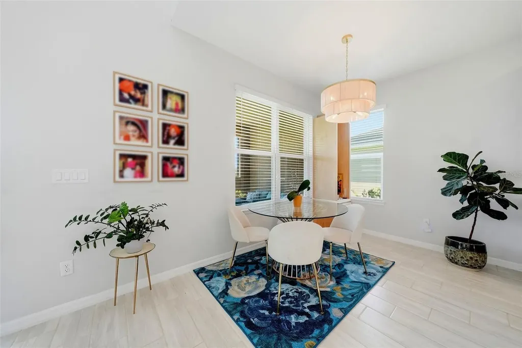 33773 Astoria Circle Wesley Chapel FL 33545