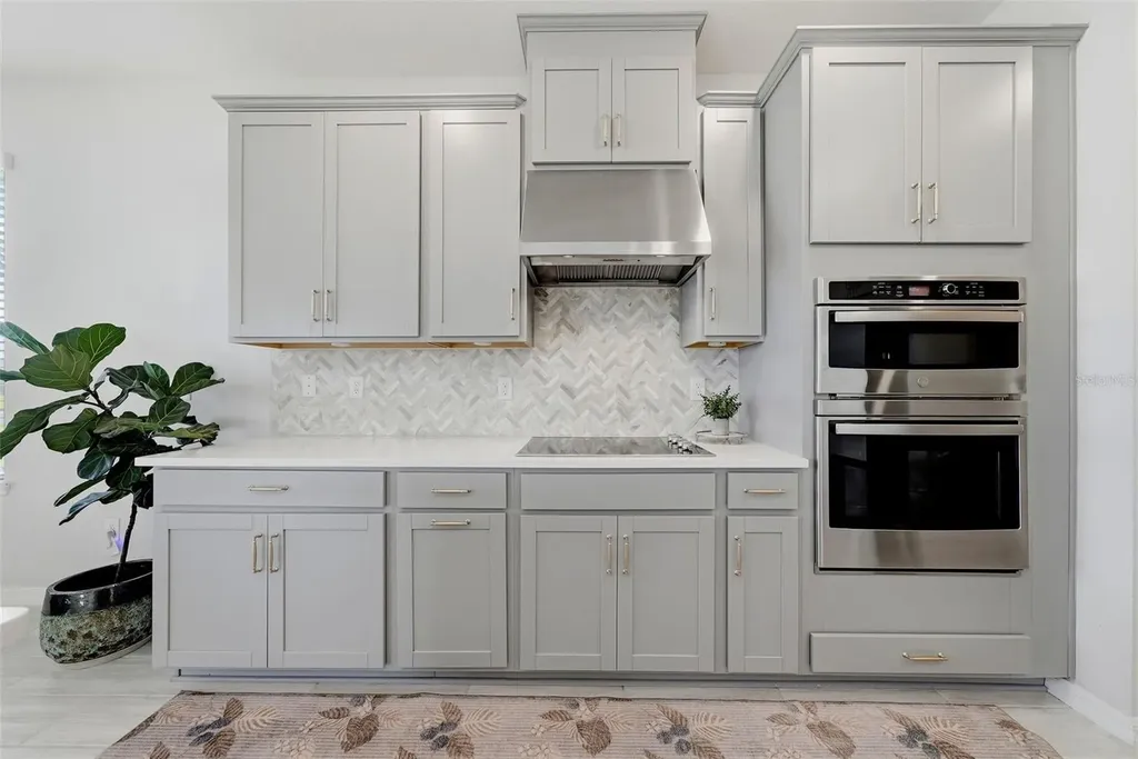 33773 Astoria Circle Wesley Chapel FL 33545