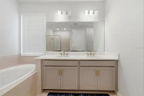 33773 Astoria Circle Wesley Chapel FL 33545