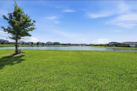 33773 Astoria Circle Wesley Chapel FL 33545