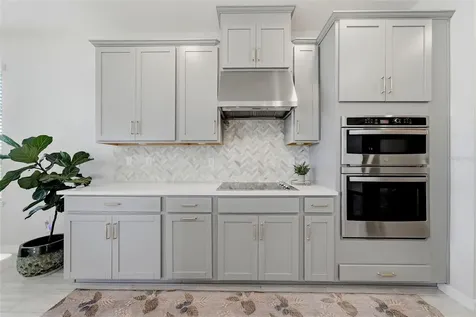 33773 Astoria Circle Wesley Chapel FL 33545