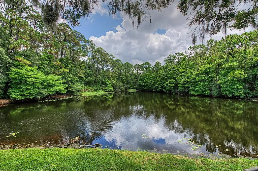 2016 Crane Court New Port Richey FL 34655