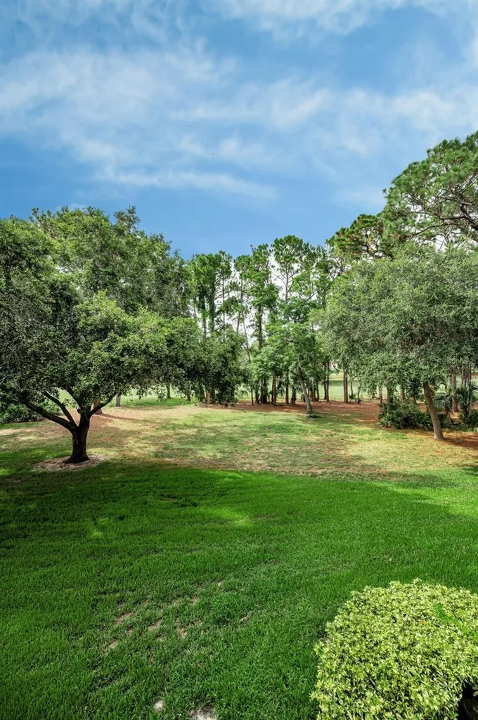 36750 Us Highway 19 N Palm Harbor FL 34684