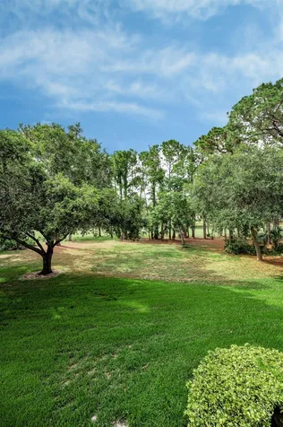 36750 Us Highway 19 N Palm Harbor FL 34684