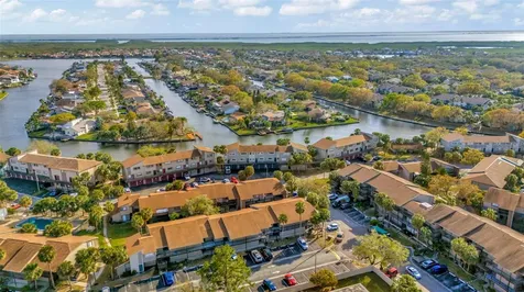 6320 Newtown Circle Tampa FL 33615